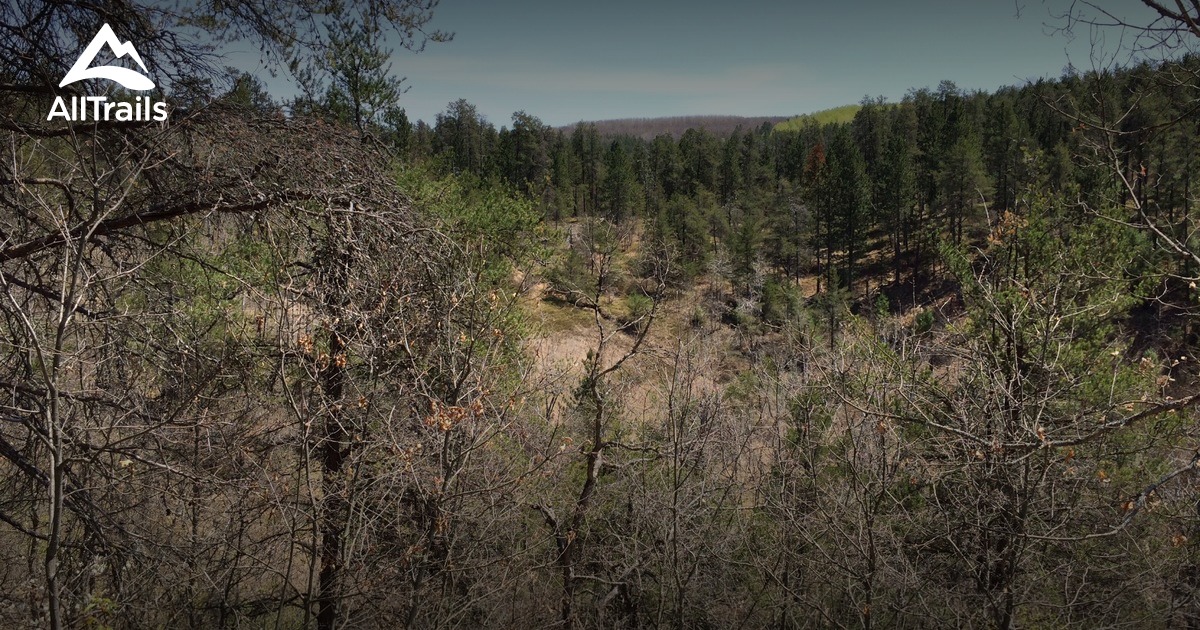 Best hikes and trails in Atlanta State Forest Area | AllTrails