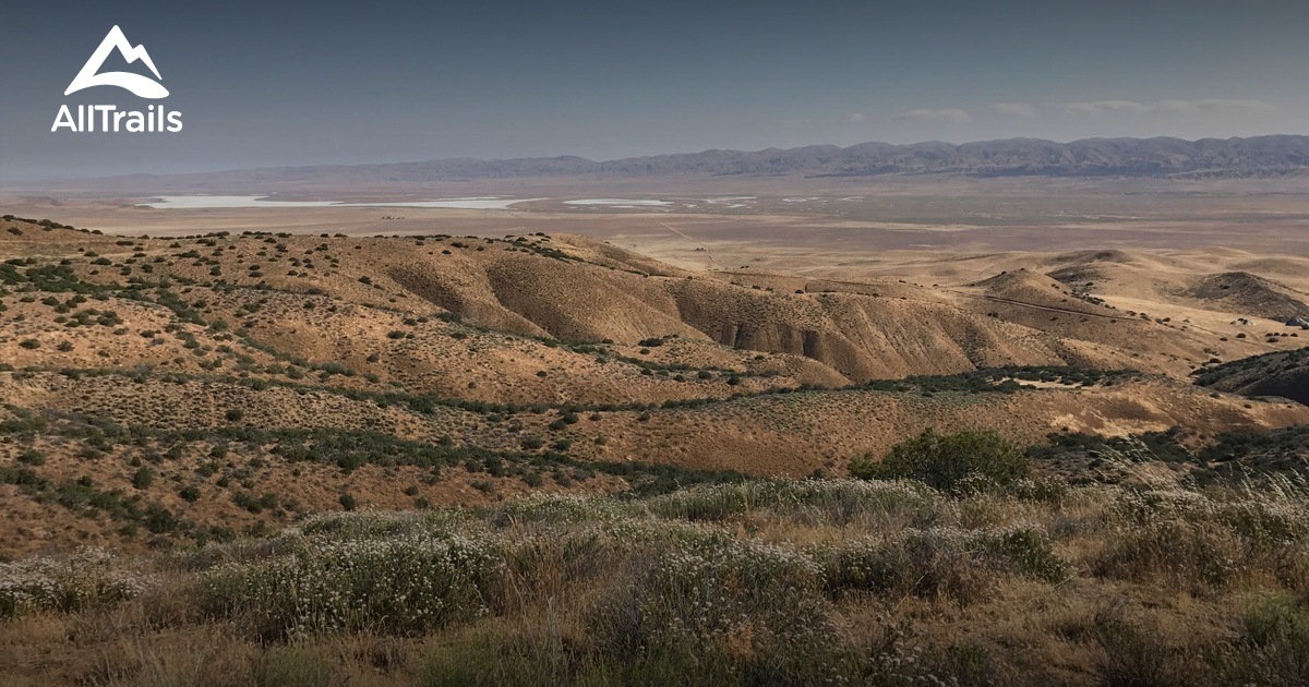 are dogs allowed in carrizo plain national monument