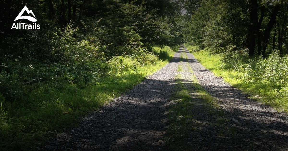 rothrock state forest mountain biking