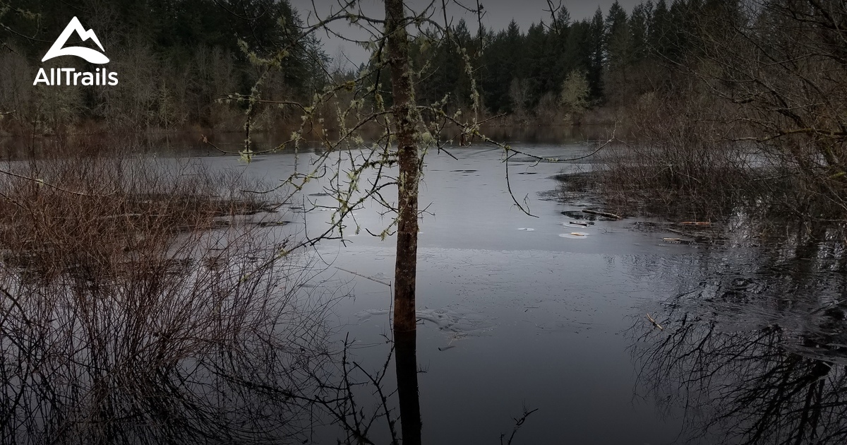 Best Trails in Grass Lake Nature Park Washington Photos & Reviews