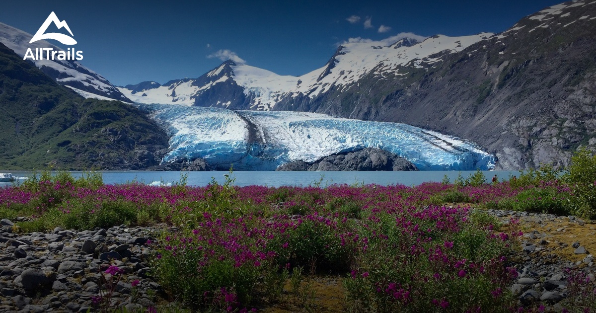 Best Trails In Chugach National Forest Alaska Alltrails 4884