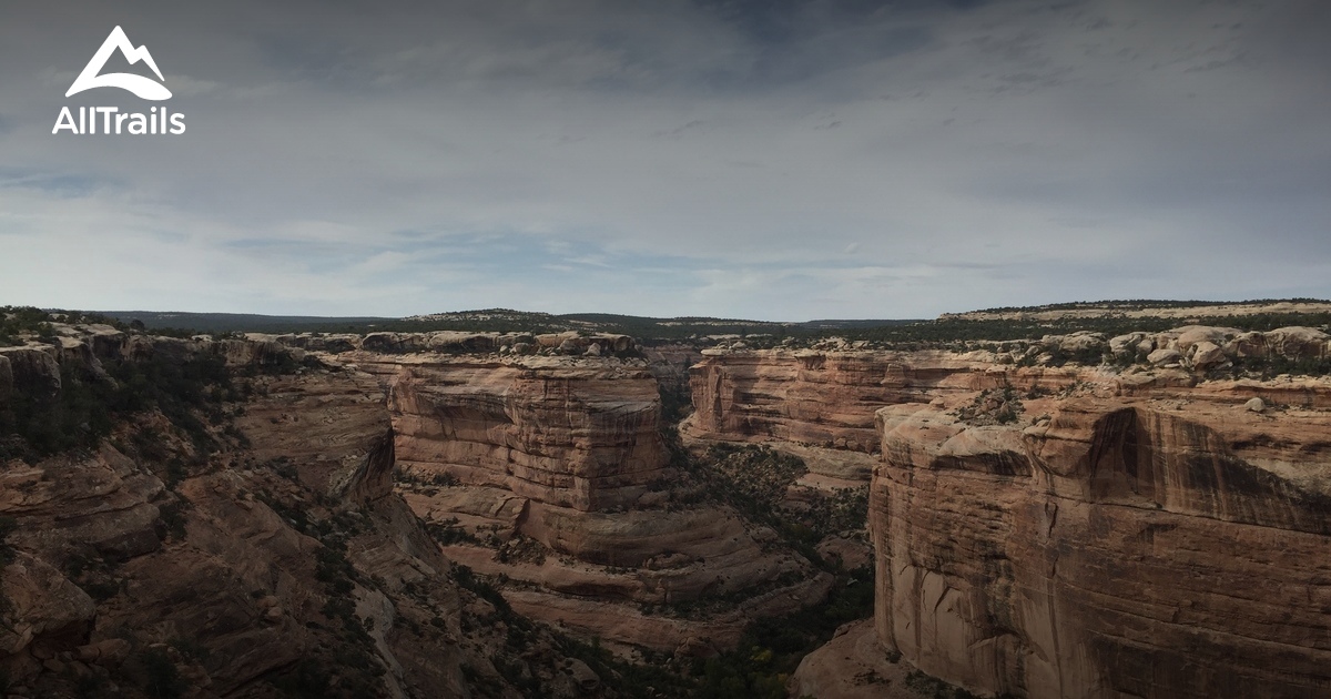 Best Trails in Ute Mountain Indian Reservation Utah AllTrails