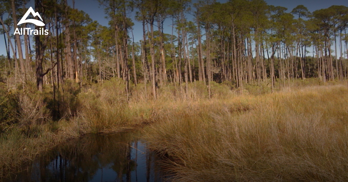 Best Trails in Bon Secour National Wildlife Refuge | AllTrails.com