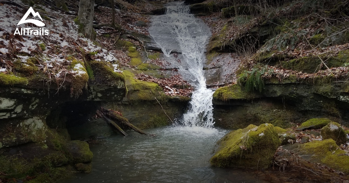 2023 Best Walking Trails in Alum Cove Natural Bridge Recreation Area