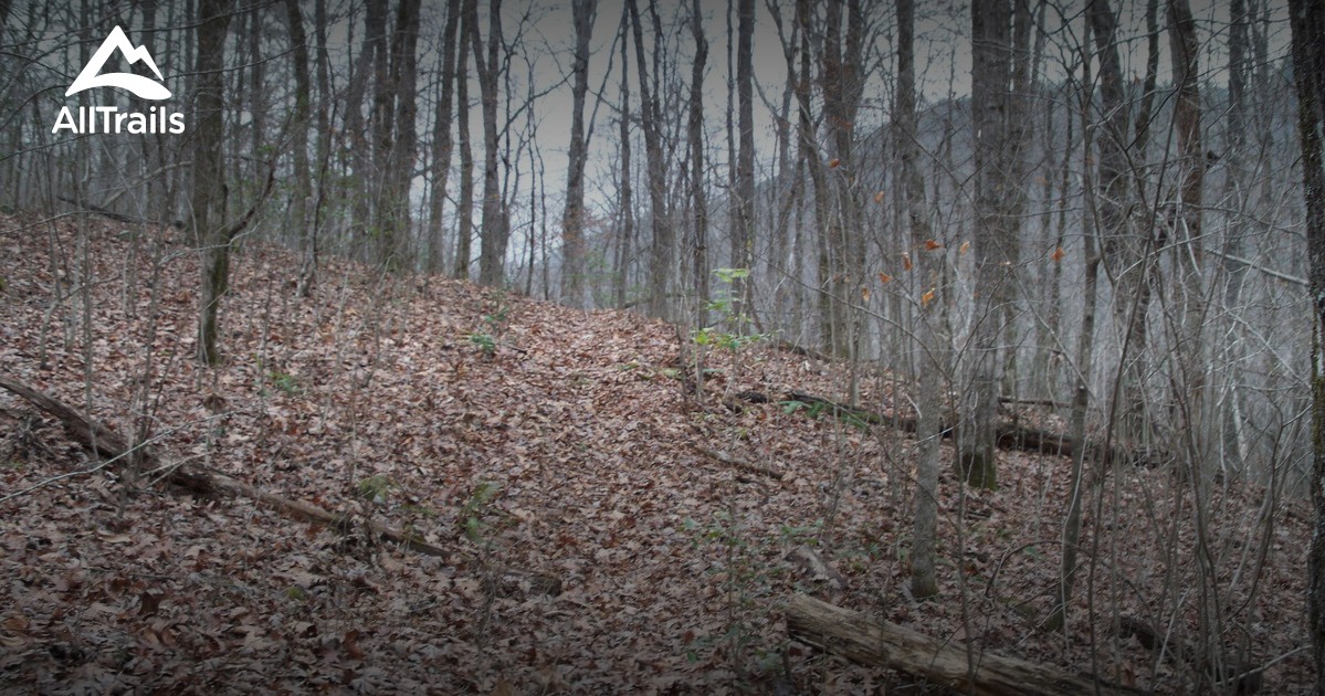Best Trails in Crystal Mountain Scenic Area Arkansas AllTrails