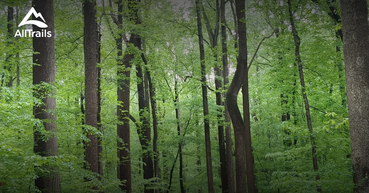 Best Hikes and Trails in Iron Hill County Park AllTrails