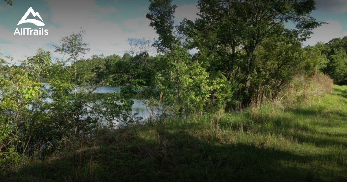 Best Trails in Green Swamp Wildlife Management Area Florida AllTrails
