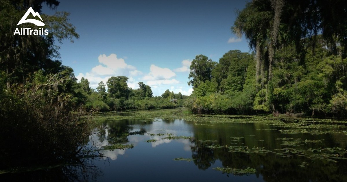 Best Trails in Lettuce Lake Regional Park