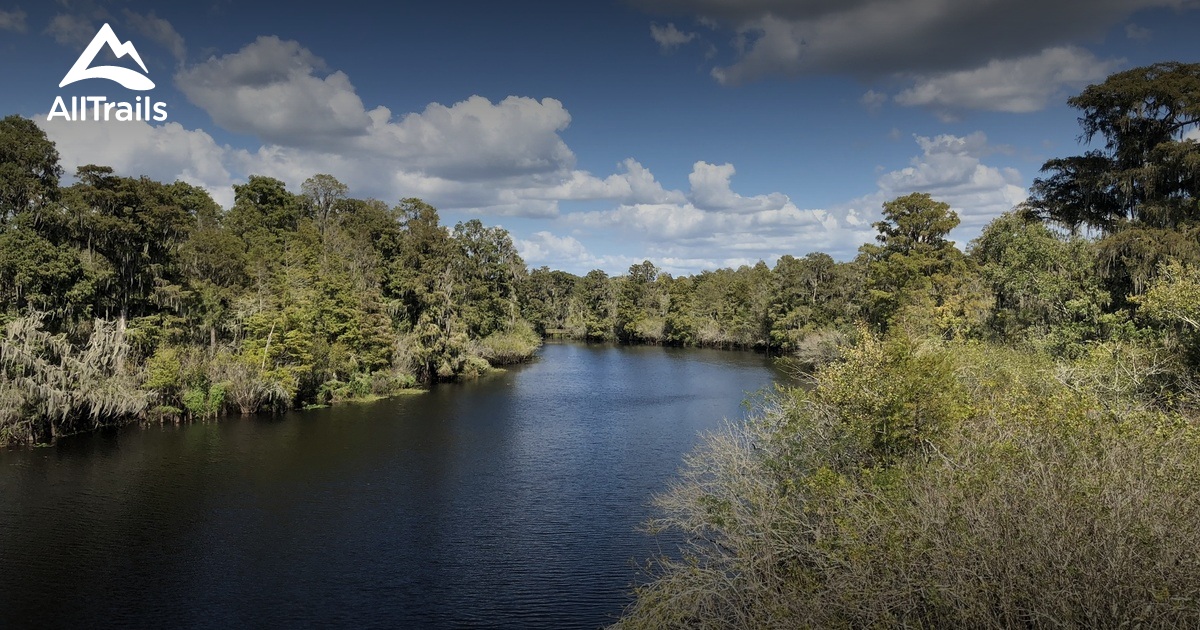 Are Dogs Allowed At Lettuce Lake Park