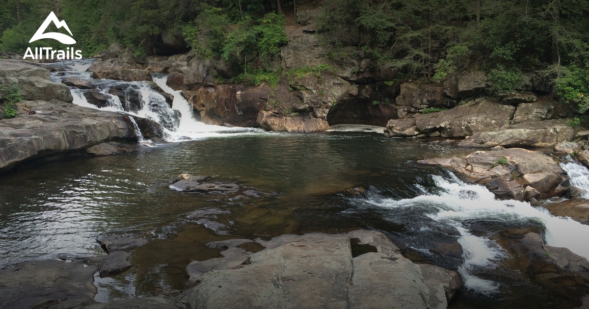 Best Trails in Cohutta Wildlife Management Area AllTrails