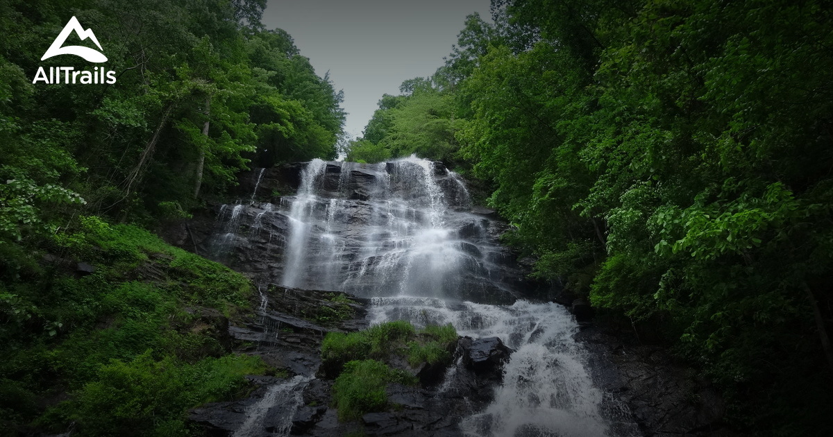 Best Trails in Dawson Forest Wildlife Management Area AllTrails