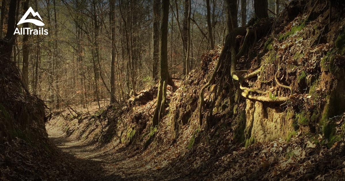 Best Trails in Tunica Hills State Wildlife Management Area Louisiana