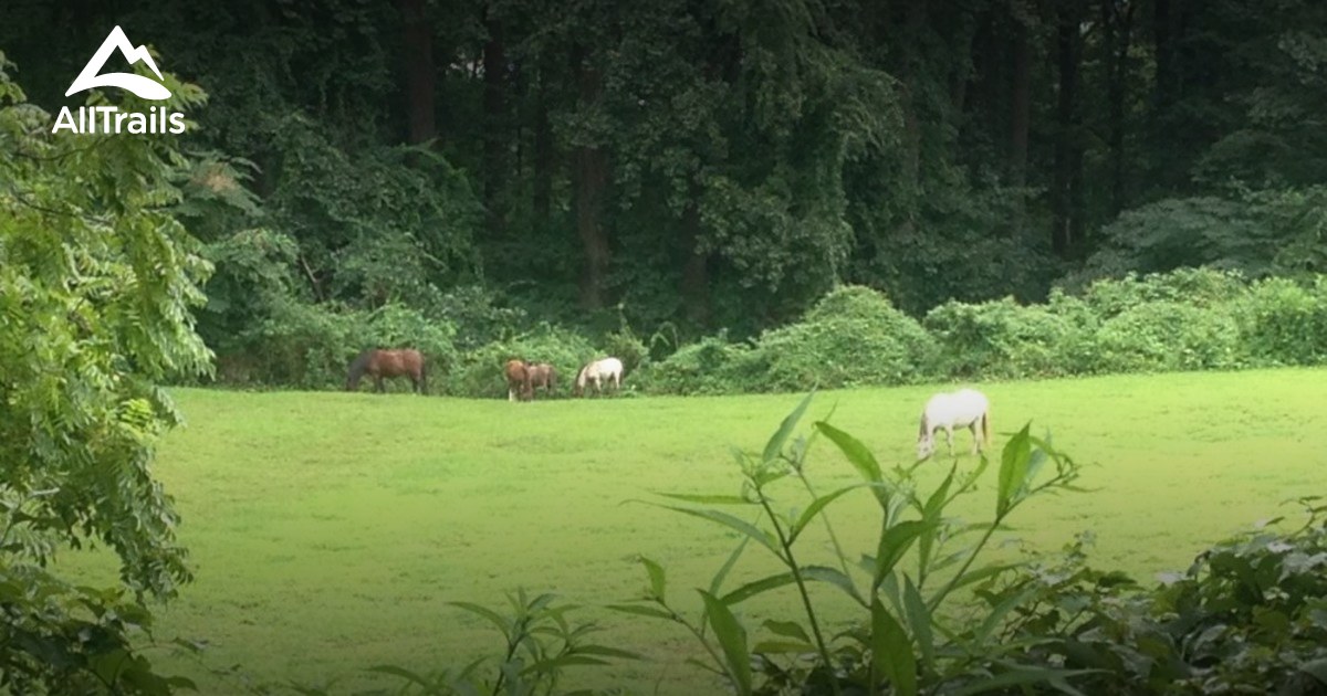 Best Trails in Sawmill Creek Park Maryland AllTrails