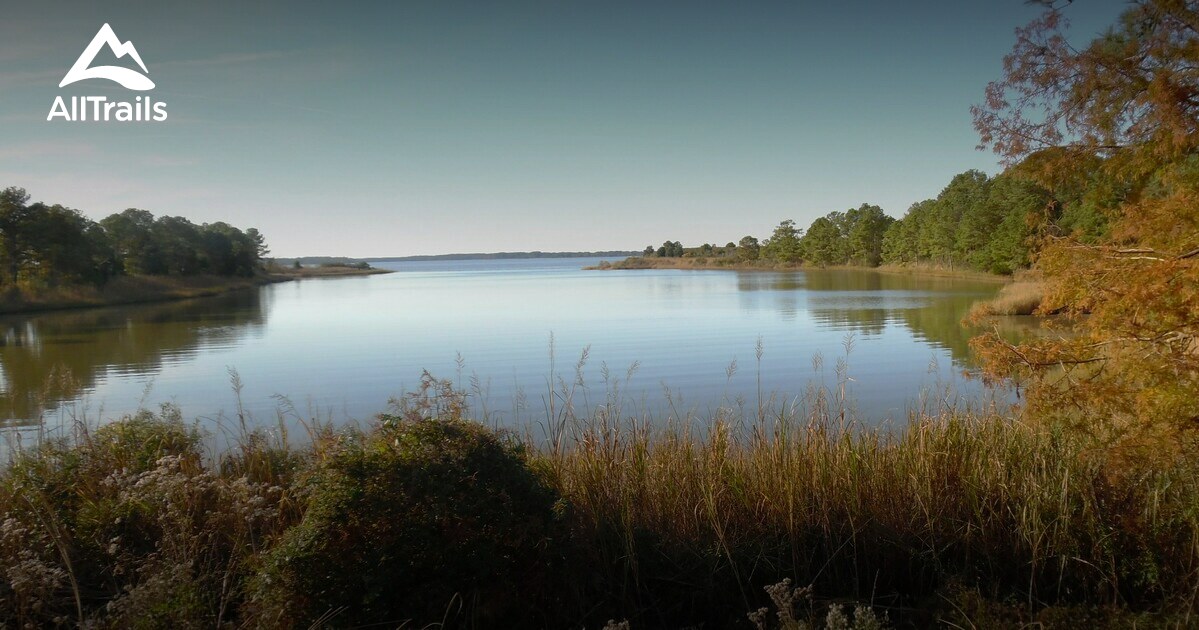 Best Hikes and Trails in Hog Island Wildlife Management Area AllTrails