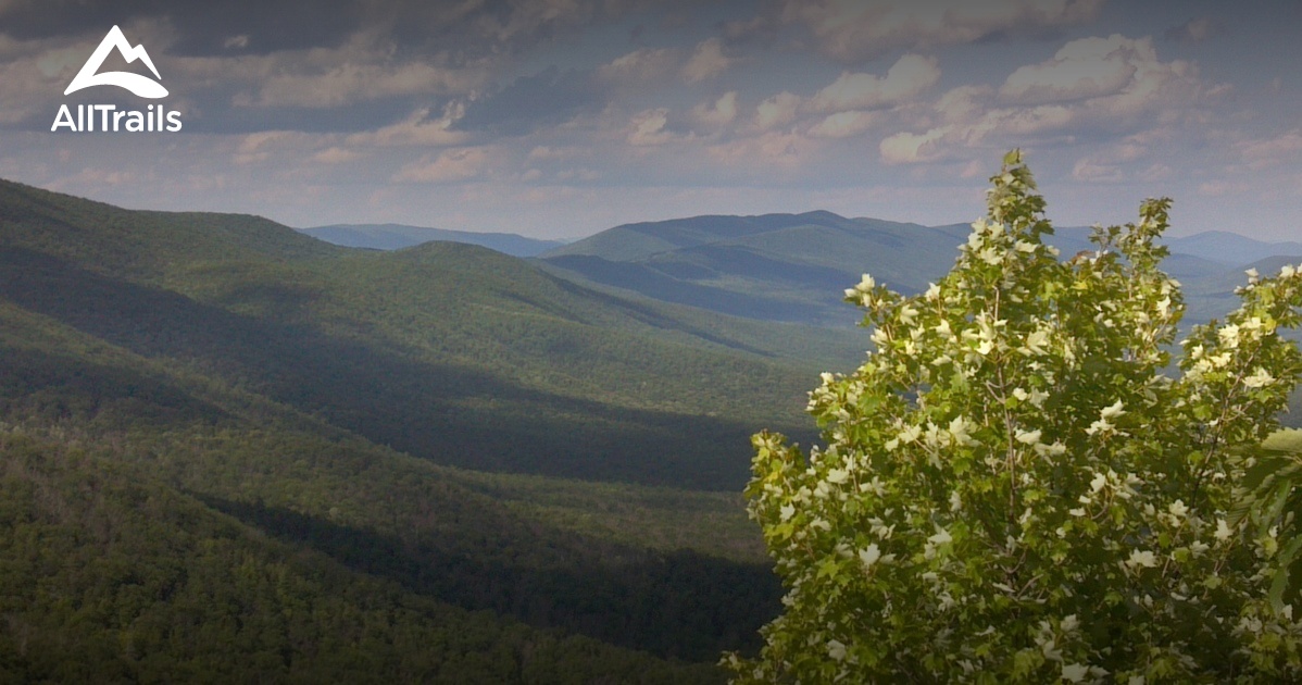 Best Trails in Mountain Lake Biological Station - Virginia ...