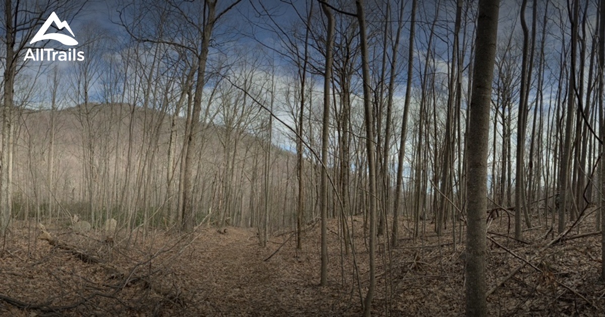 Best Trails in Rapidan Wildlife Management Area Virginia AllTrails