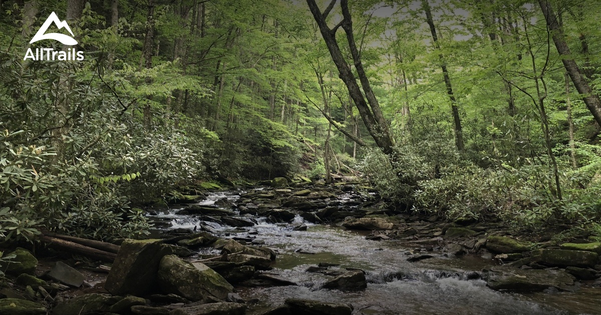 Bedste korte ruter i Cranberry Glades Botanical Area AllTrails Bedste korte ruter i Cranberry Glades Botanical Area AllTrails