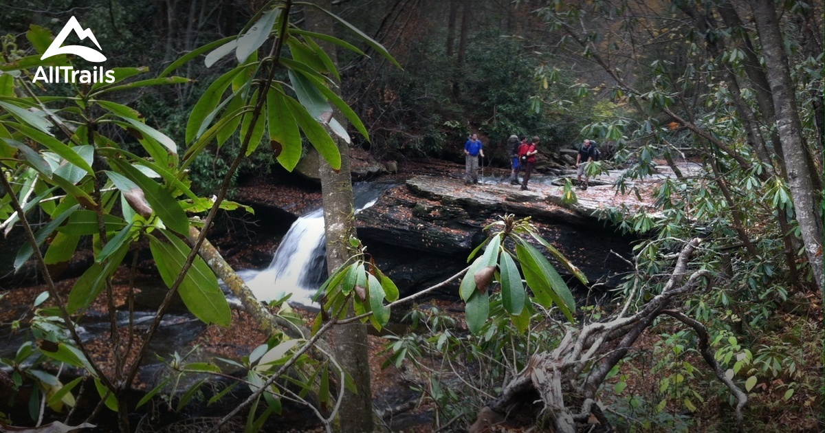 Best Trails in Otter Creek Wildlife Management Area - West Virginia