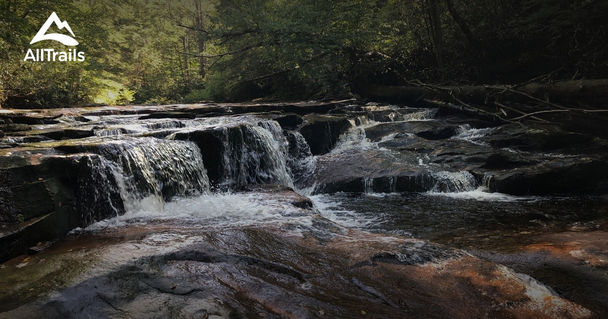Best trails in Otter Creek Wildlife Management Area, West Virginia