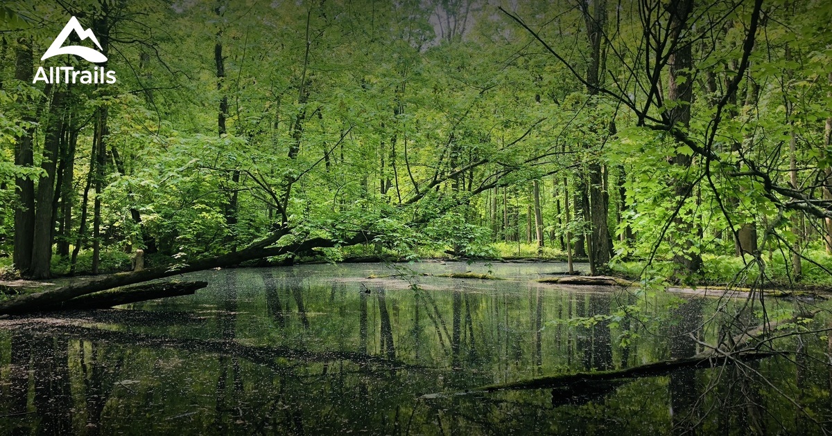 Best Trails in Sanford Lake Park Michigan AllTrails