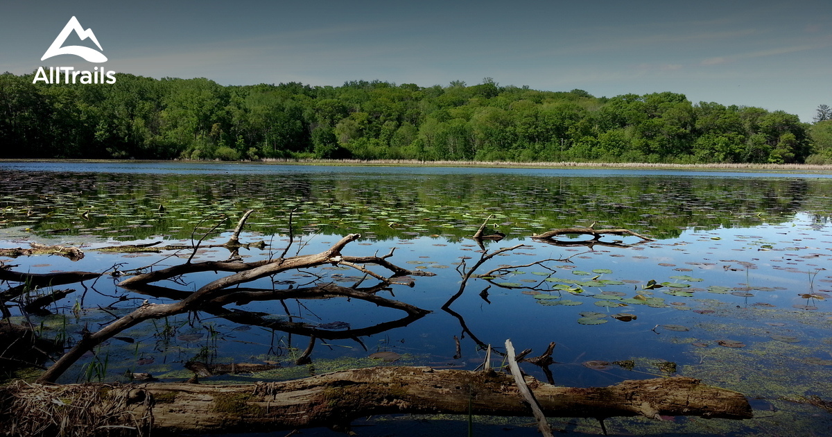 Escape to Nature's Embrace: Your Guide to Lebanon Hills Regional Park Campground