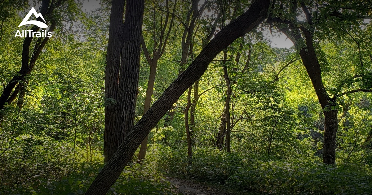 Best hikes and trails in Wilderness Park | AllTrails