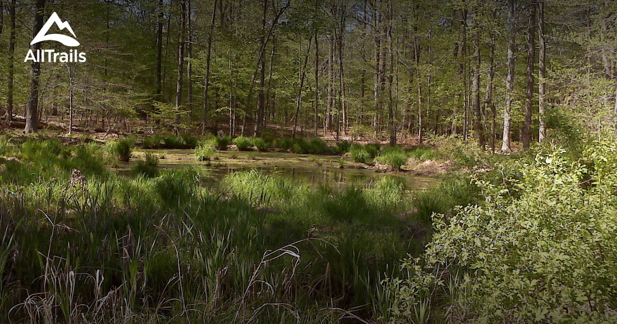 Best Trails In Great Swamp National Wildlife Refuge Alltrails 