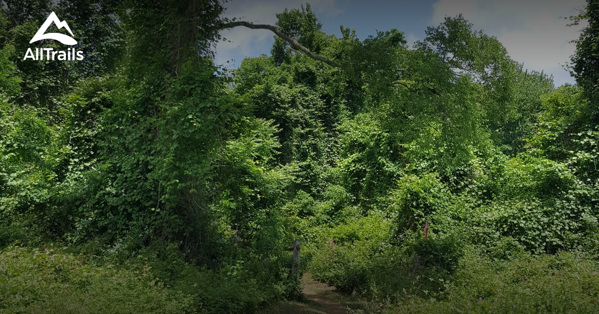 Huber Woods Trail Map Best 10 Trails In Huber Woods County Park | Alltrails