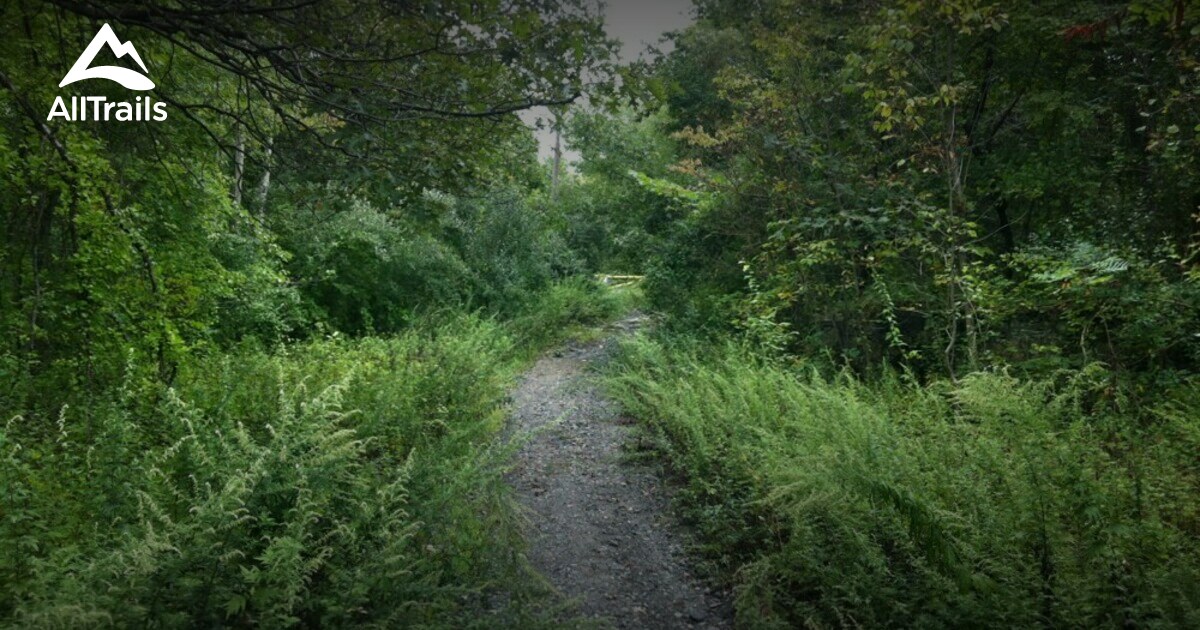 10 Best Hikes and Trails in Wildcat Ridge State Wildlife Management