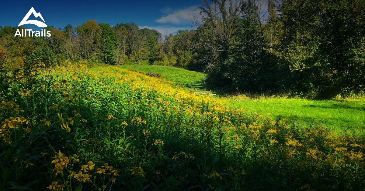 Best Hikes and Trails in Spencer Lake State Wildlife Area AllTrails