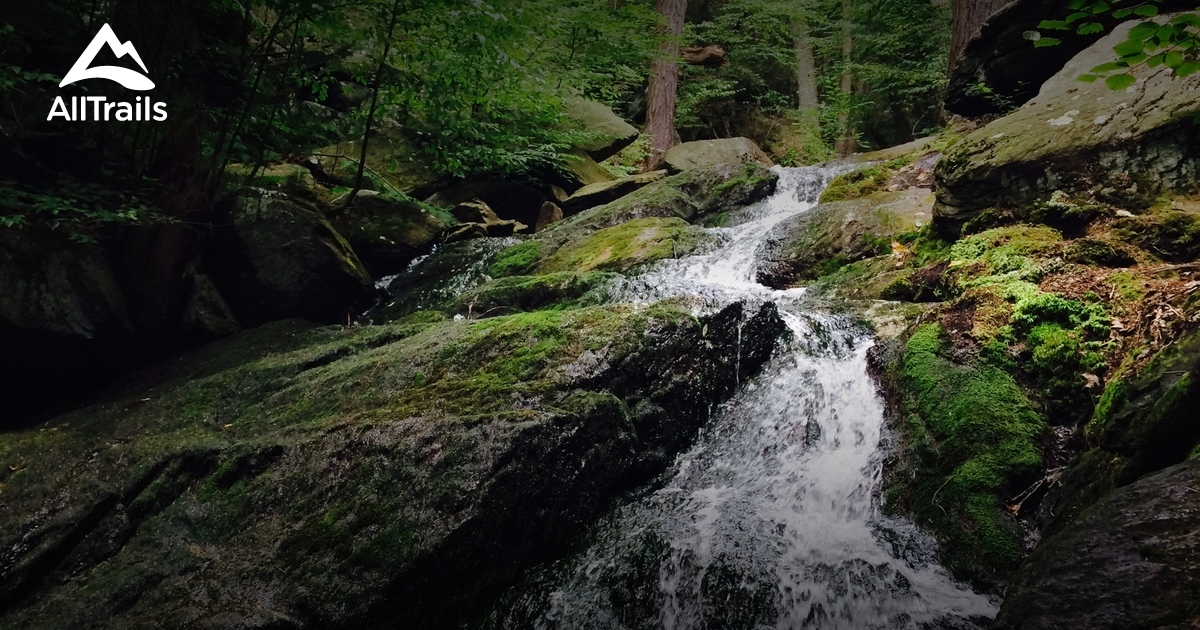 Best Trails in Tumbling Run Game Preserve Pennsylvania 90 Photos
