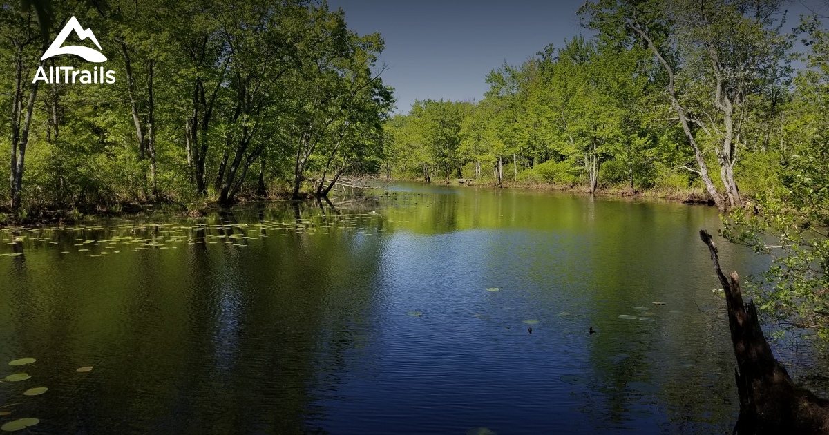 Best Trails in Missisquoi National Wildlife Refuge Vermont AllTrails