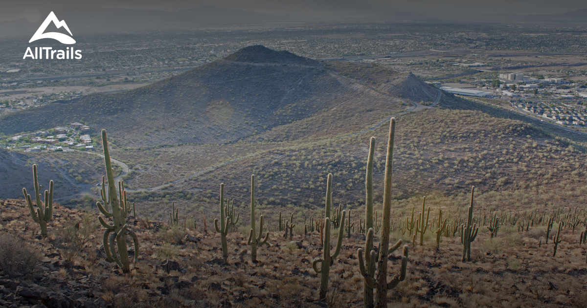 Best Trails in Sentinel Peak Park - Arizona | AllTrails