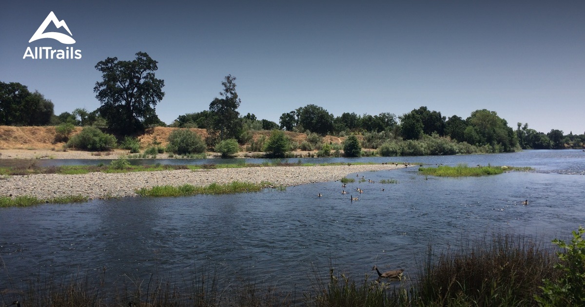 Best Trails in Ancil Hoffman Park