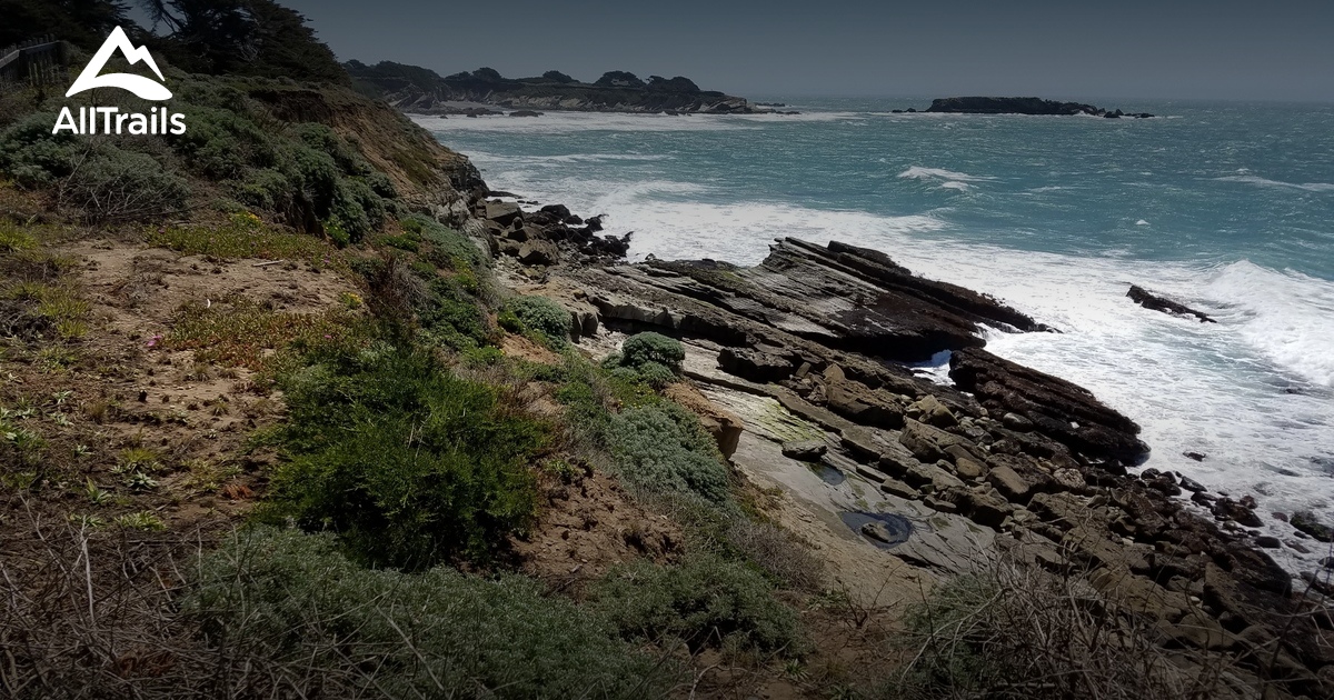 Best Trails in Gualala Point Regional Park California AllTrails
