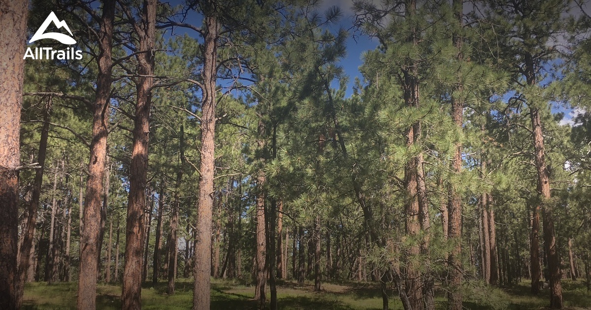 Best hikes and trails in Fox Run Regional Park AllTrails