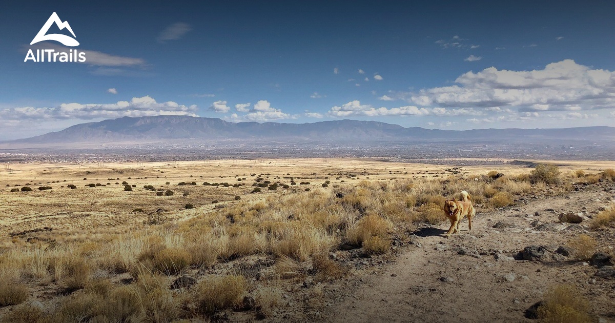 best-hikes-and-trails-in-petroglyph-national-monument-alltrails