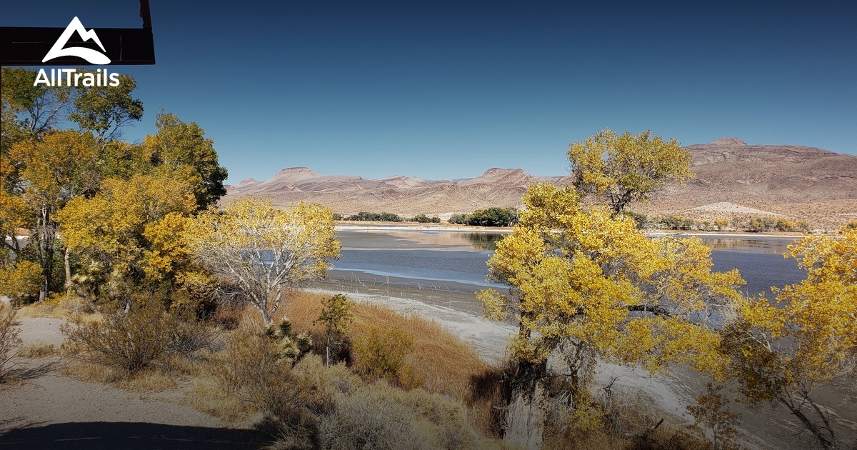 Nevada Wildlife, Wildlife Refuges in Nevada