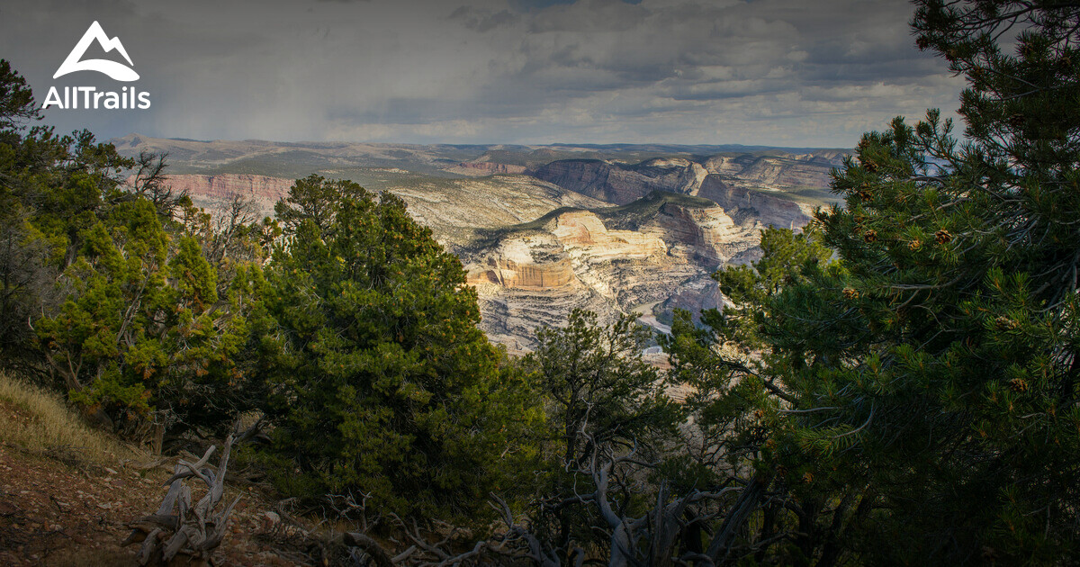 best hikes dinosaur national monument