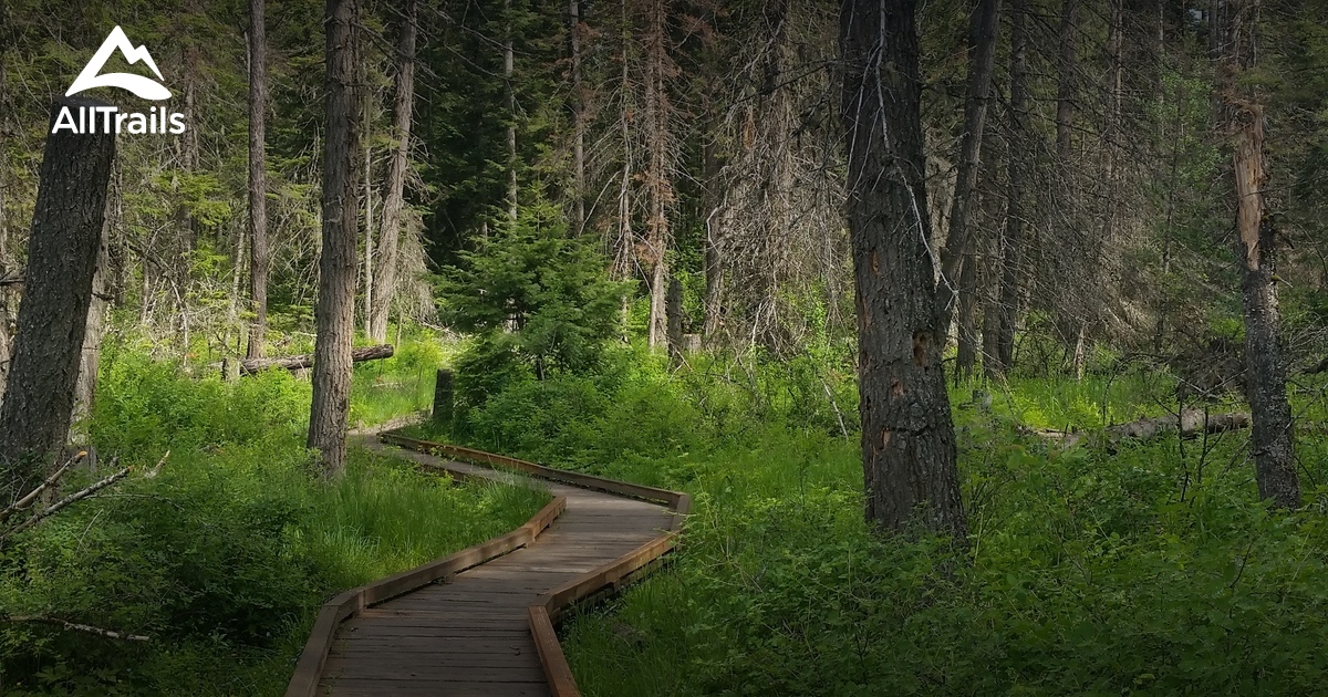 Best Hikes and Trails in Hayden Lake Sportsman Park AllTrails