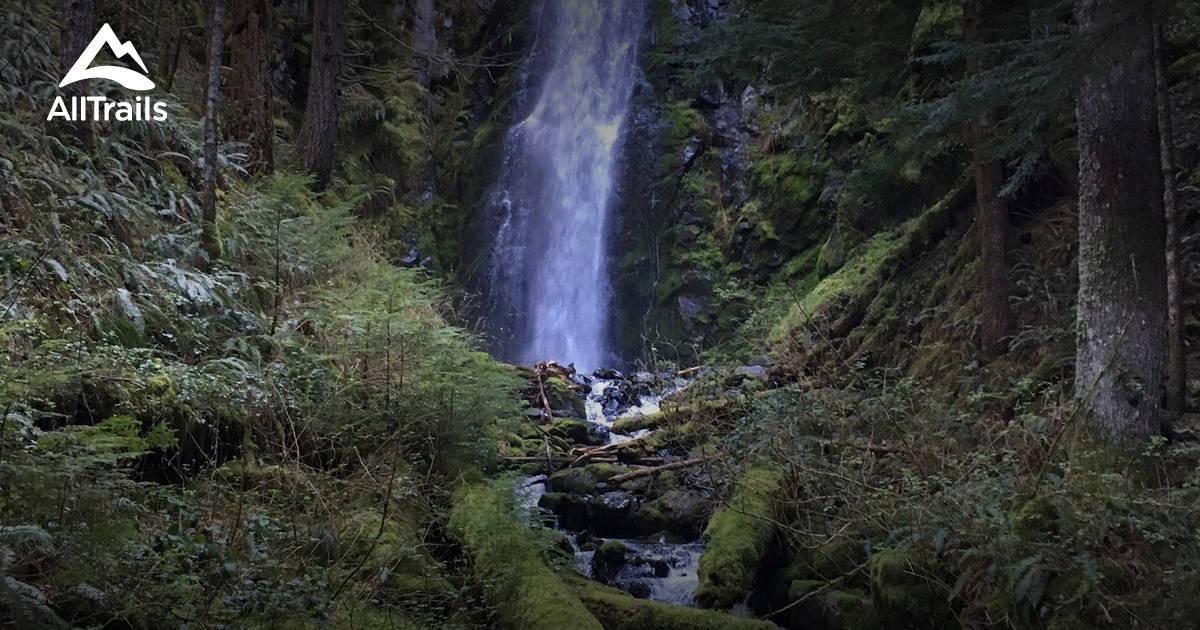 Best Trails In Larch Mountain Corridor Oregon 63 Best Trails In Larch Mountain Corridor Oregon 63
