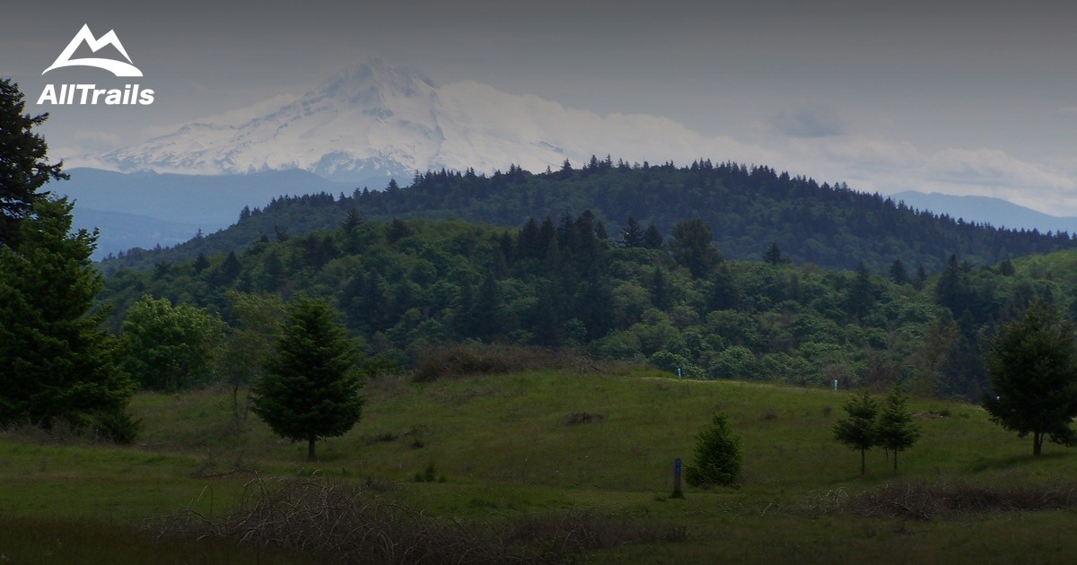 Best Trails in Powell Butte Nature Park