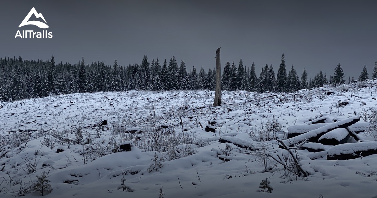 Best Trails in Willow Lake County Park Oregon AllTrails