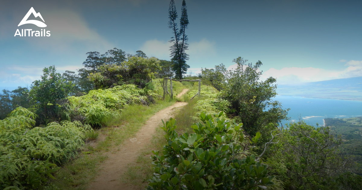Best Trails In West Maui Forest Reserve Hawaii Alltrails Best Trails In West Maui Forest Reserve Hawaii Alltrails