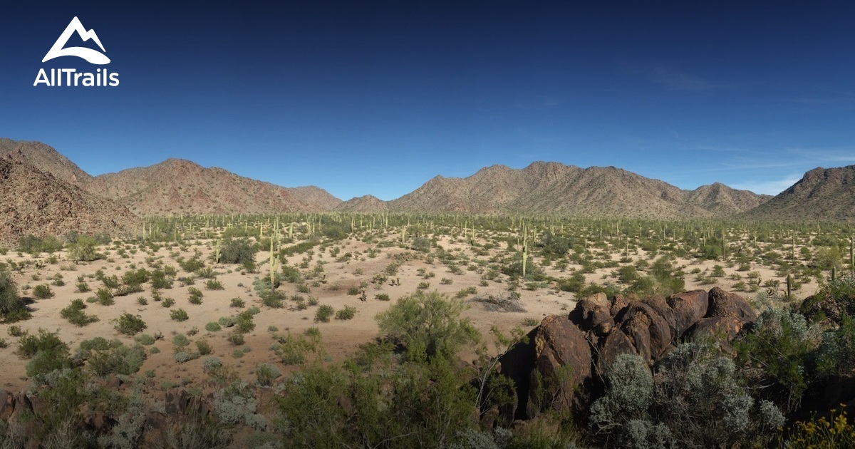 Sonoran Desert National Monument - Arizona | Photos & Reviews for
