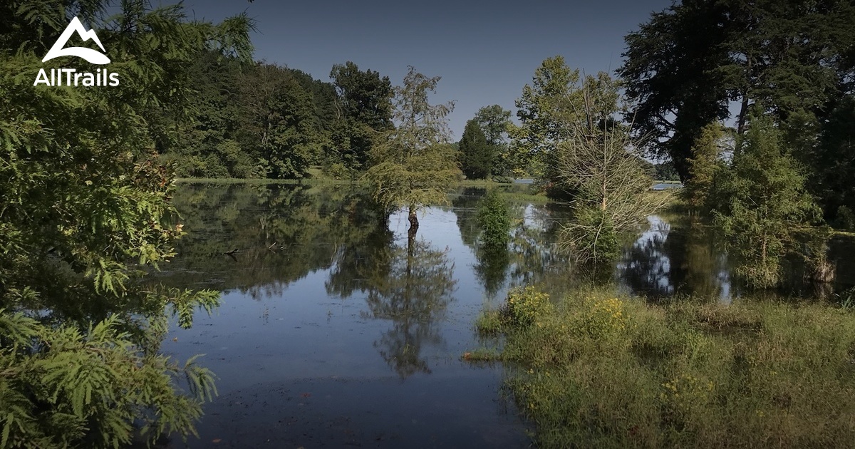 Best Trails in Bernheim Arboretum and Research Forest Kentucky