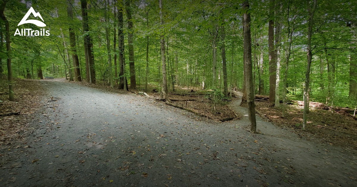 Best Hikes and Trails in Daniels Run Park AllTrails