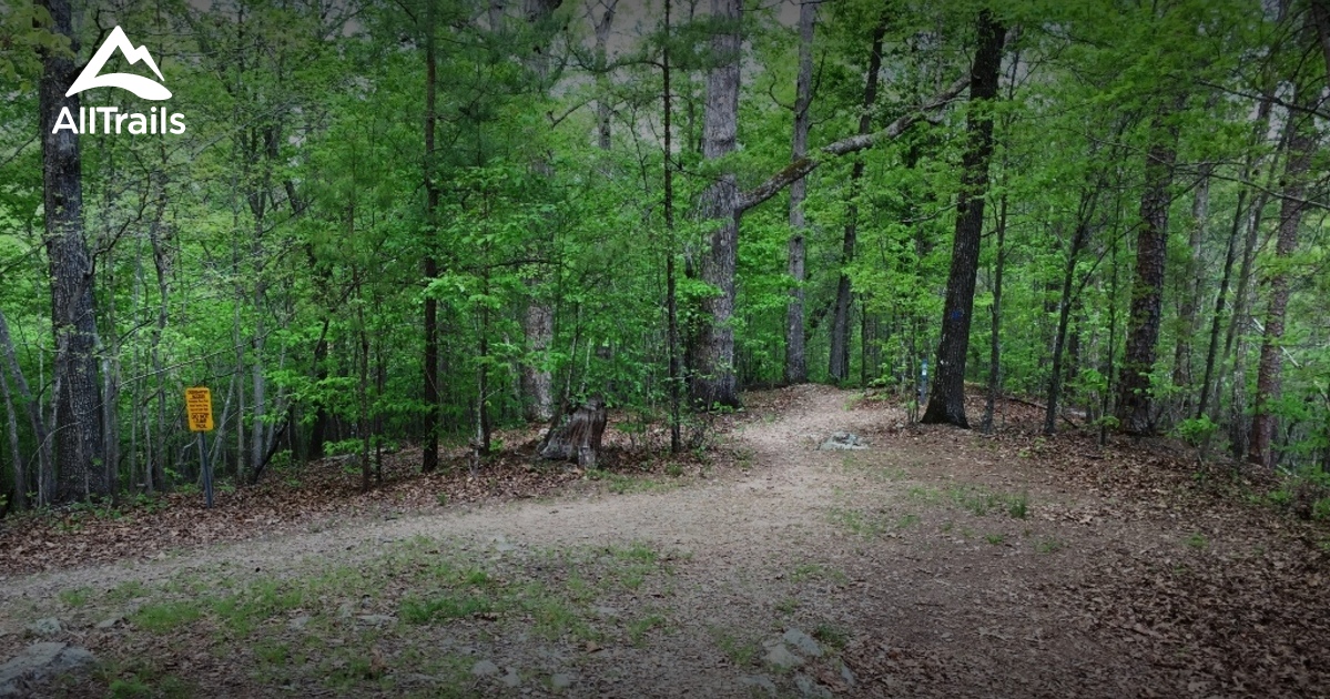 Duke Forest Hiking Trails Best 10 Trails In Duke Forest Korstian Division | Alltrails