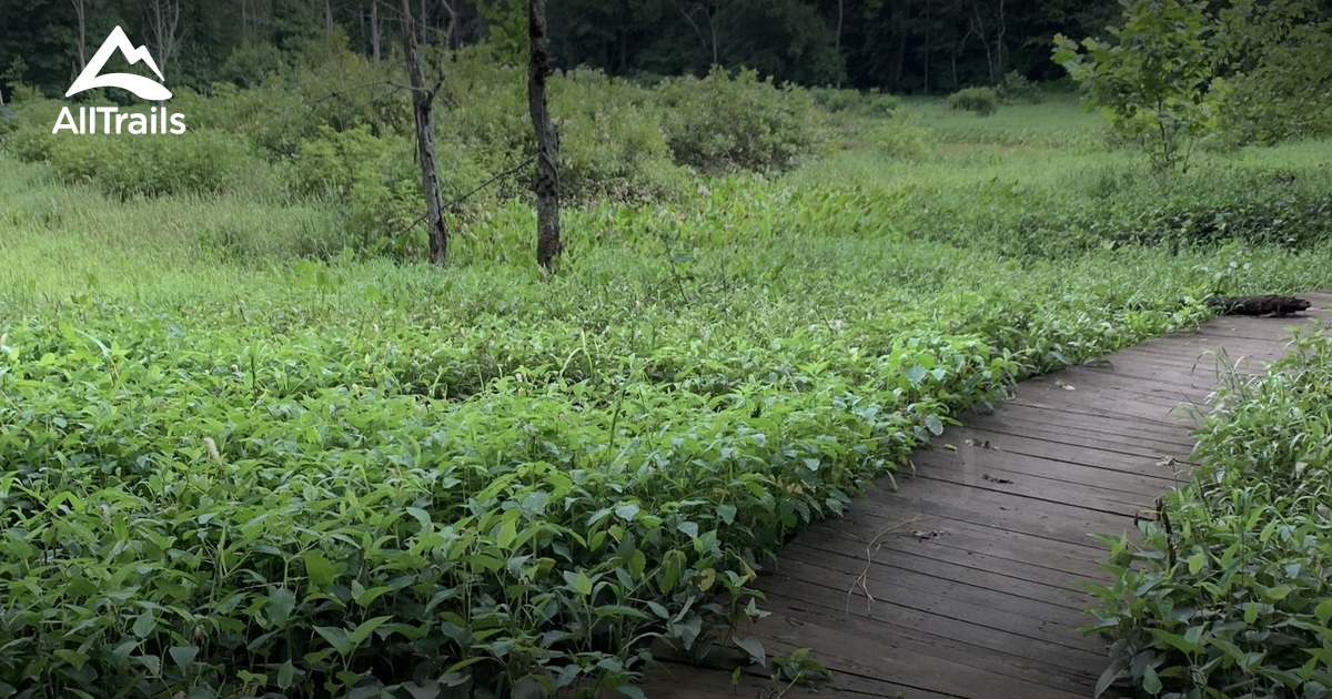 watkins park bike trail