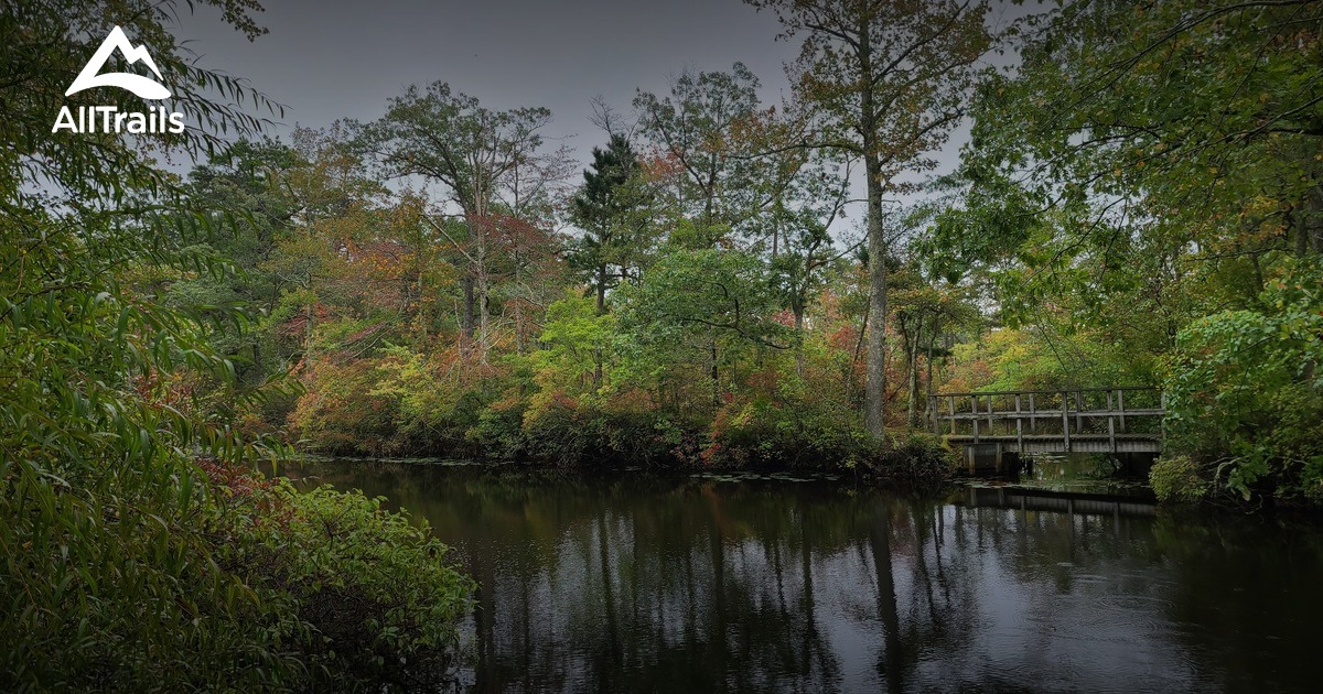 Escape to Birch Grove: Your New Jersey City Park Adventure